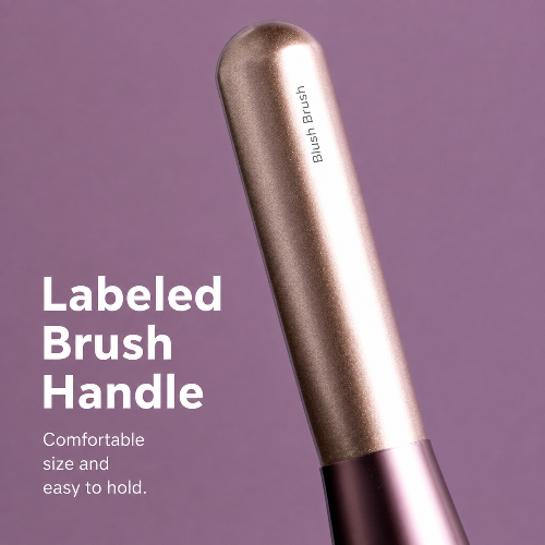 Beginner Makeup Brush Set  Eyeshadow, Powder, Blush & Contour Brushes