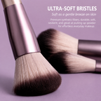 Beginner Makeup Brush Set  Eyeshadow, Powder, Blush & Contour Brushes