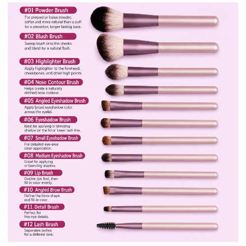 Beginner Makeup Brush Set  Eyeshadow, Powder, Blush & Contour Brushes