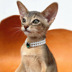 Vintage Pearl Cat Collar with Gem Pendant