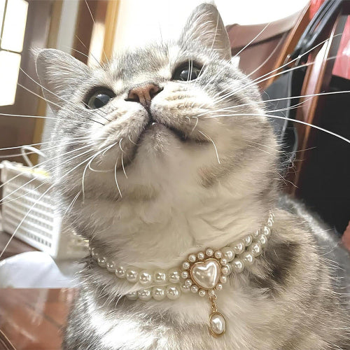 Double-Layer Pearl Pet Collar with Gem Pendant