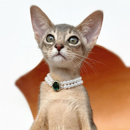 Vintage Pearl Cat Collar with Gem Pendant